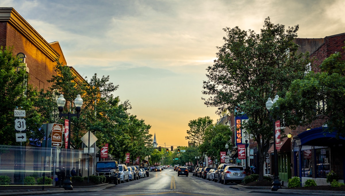 A tree-lined main street in a Southern Ontario town near St. Thomas